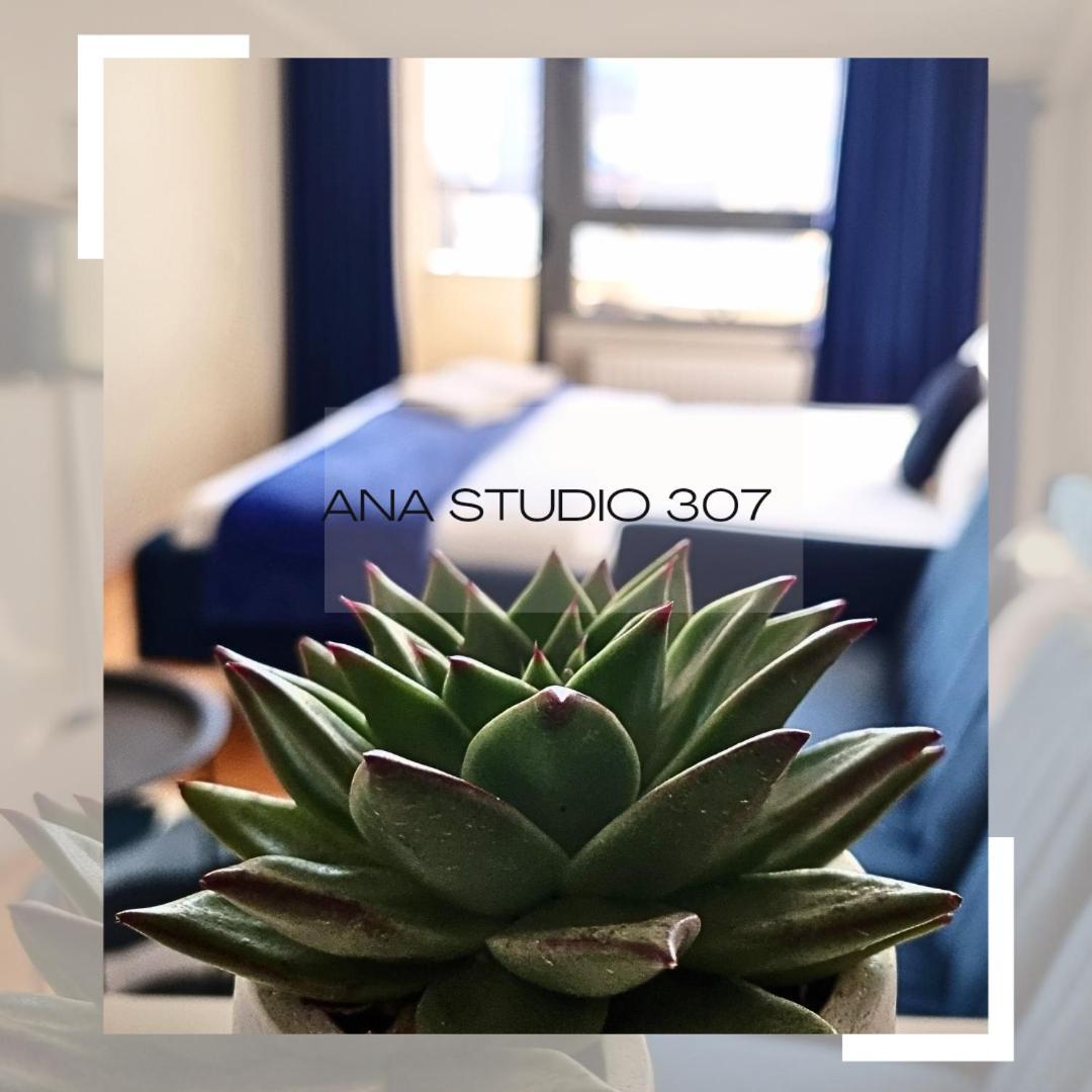 Ana Studio 307 Pristina Exterior foto